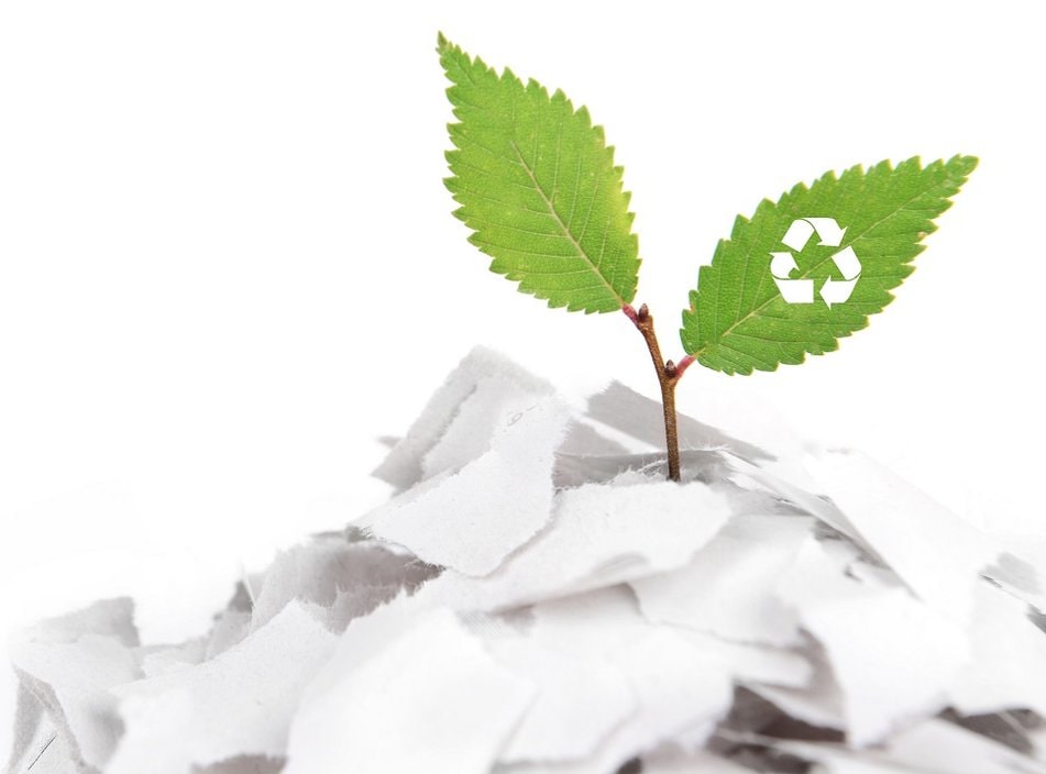 reduce printing waste by merging PDFs in house